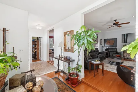 a living room filled with furniture chandelier and a potted plant