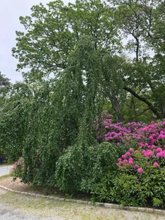 $1,851,000 | 121 Montauk Highway, Quogue, NY 11959