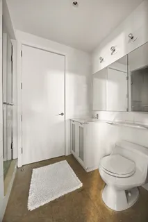 a bathroom with a toilet and a shower
