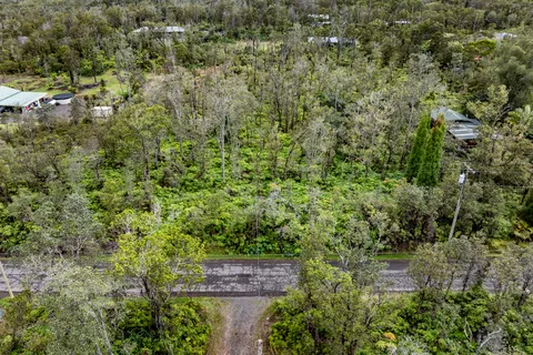 a view of a yard with large trees