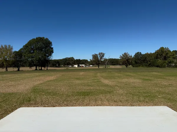 a view of a back yard