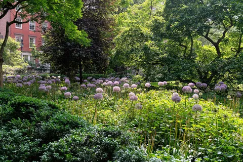 a view of a garden
