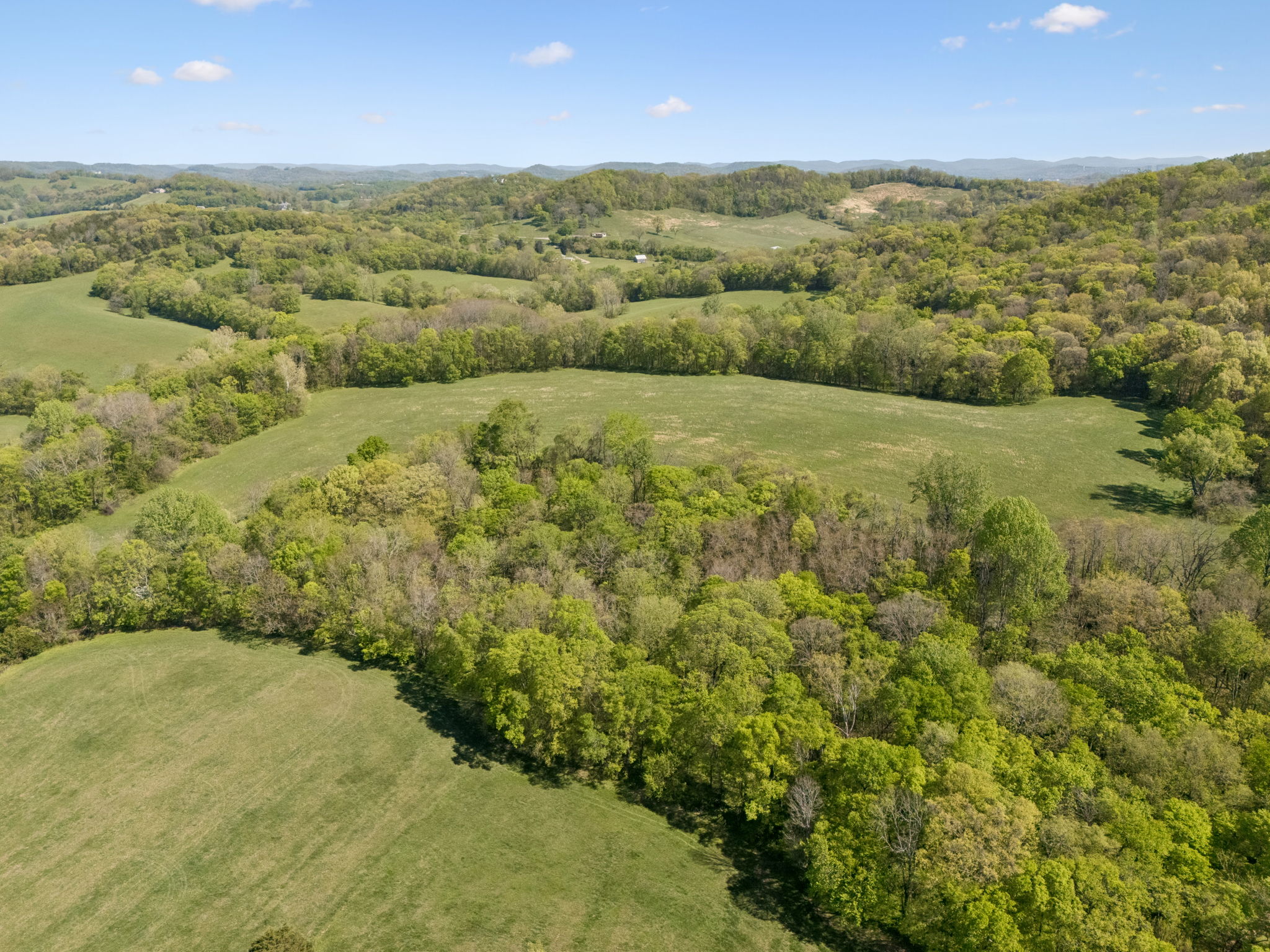 Undisclosed Address College Grove, TN 37046 - Photo 12 of 24 a view of an outdoor space and a yard
