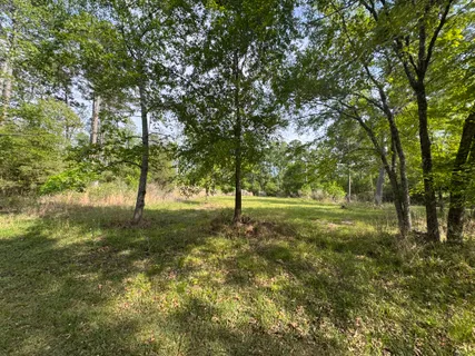$15,000 | 20 Lake Forest Drive, Livingston, TX 77351