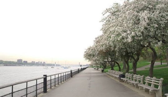 307 West 111th Street, Unit 2R Manhattan, NY 10026 - Photo 14 of 16 a view of a terrace with a lake view