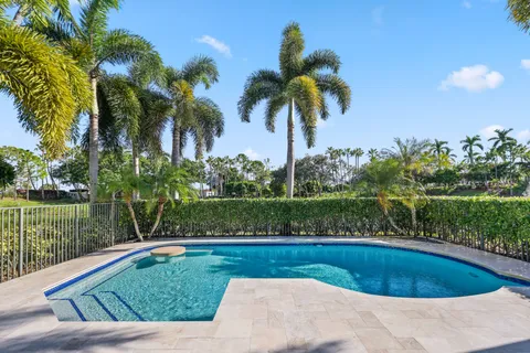 a view of a swimming pool with a garden