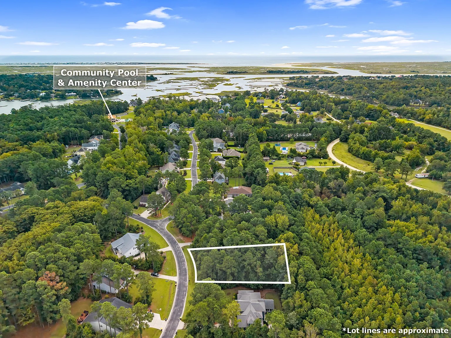 135 Hydrangea Lane Hampstead, NC 28443 - Photo 5 of 14