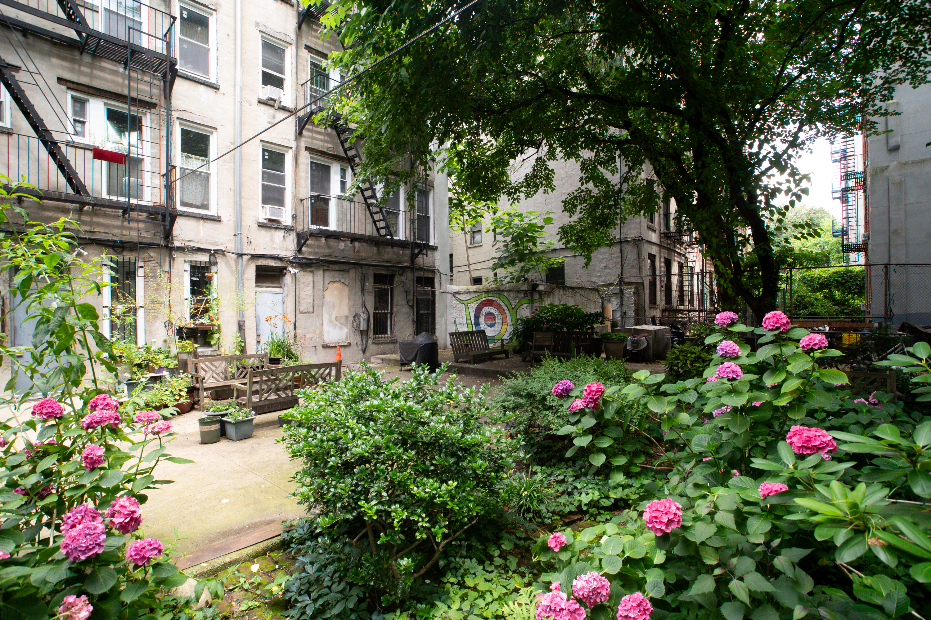 616 East 9th Street, Unit 4W Manhattan, NY 10009 - Photo 17 of 20 a view of flower garden in front of building