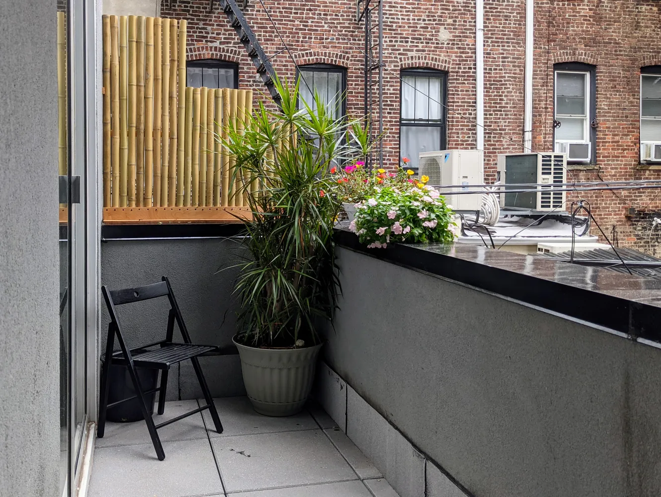 a potted plant sitting in front of a house