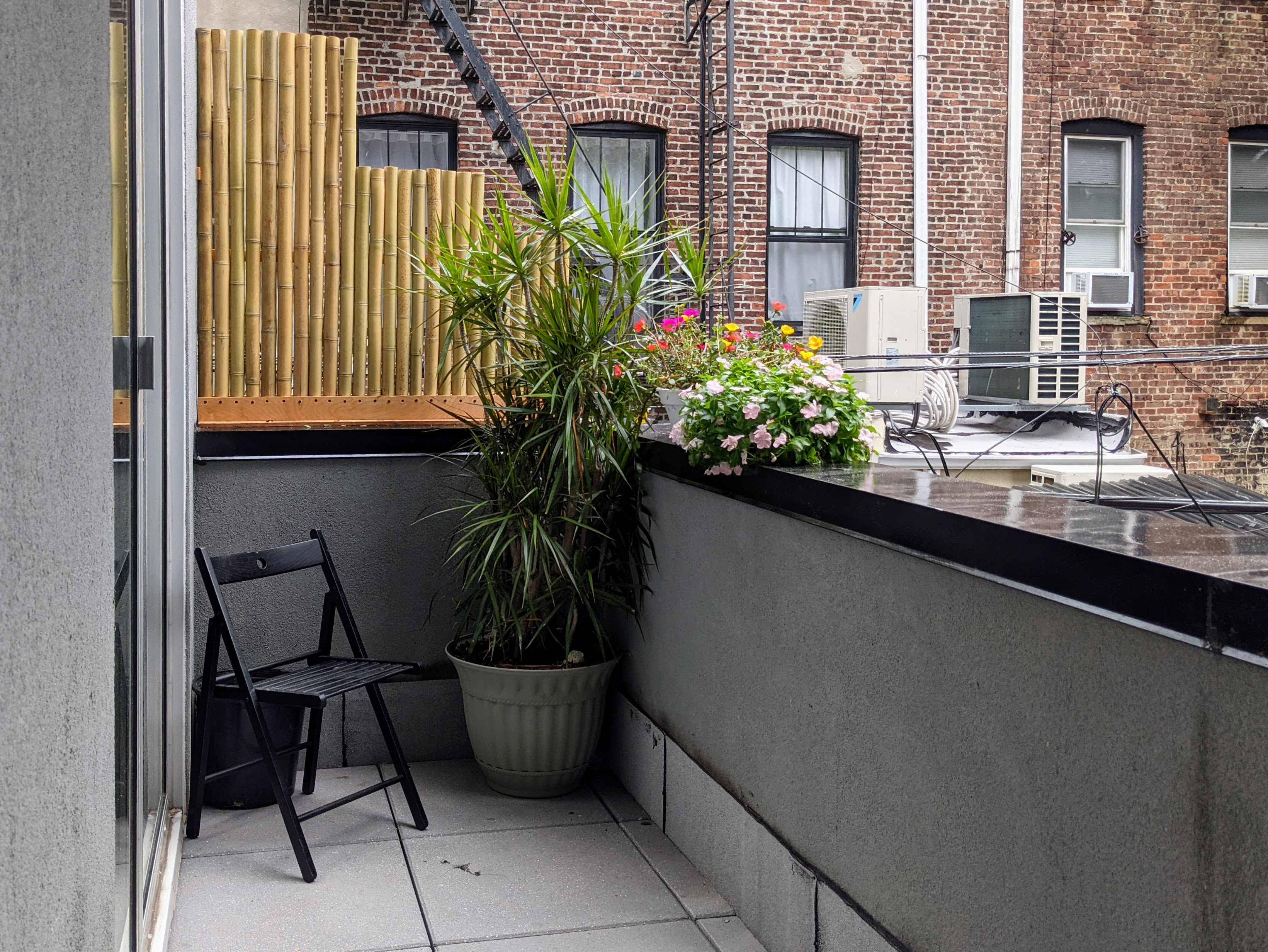 371 Lincoln Road, Unit 2 Brooklyn, NY 11225 - Photo 14 of 19 a potted plant sitting in front of a house