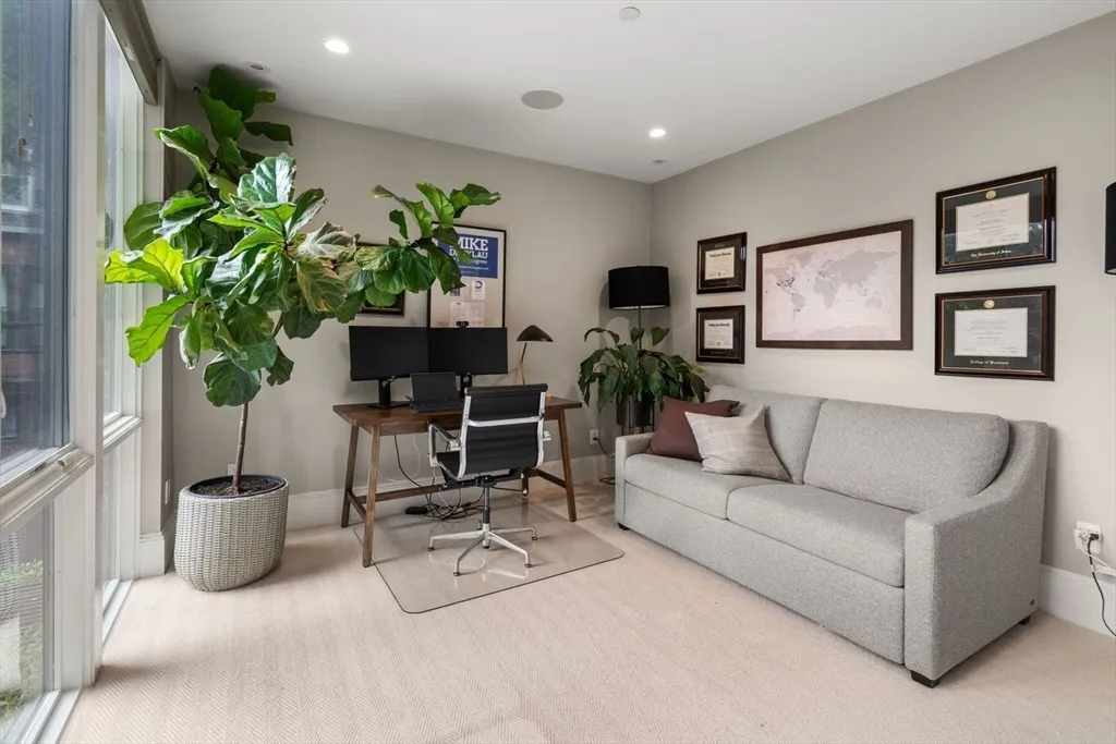 a living room with furniture a potted plant and a potted plant