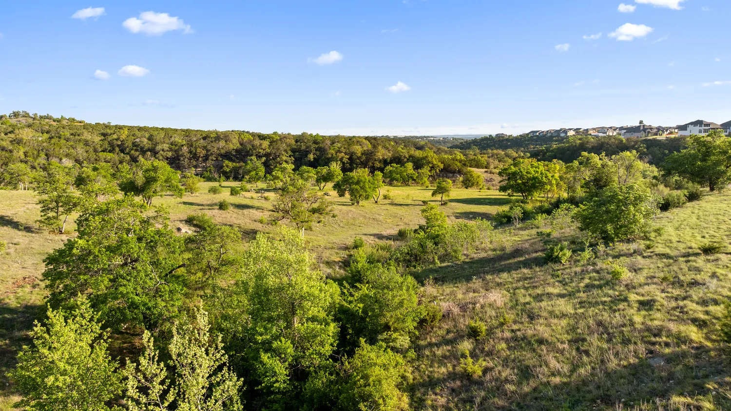 a view of a lush green field with mountains in the background