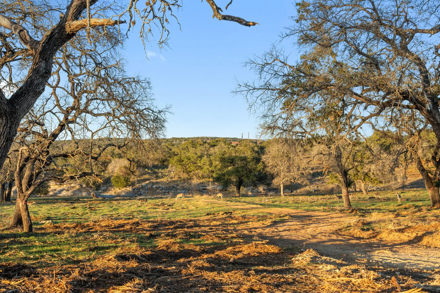 $15,995,000 | 1902 Patriot Drive, Lago Vista, TX 78645