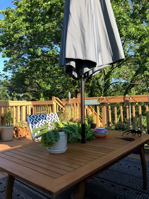 a view of a roof deck with table and chairs potted plants with wooden floor