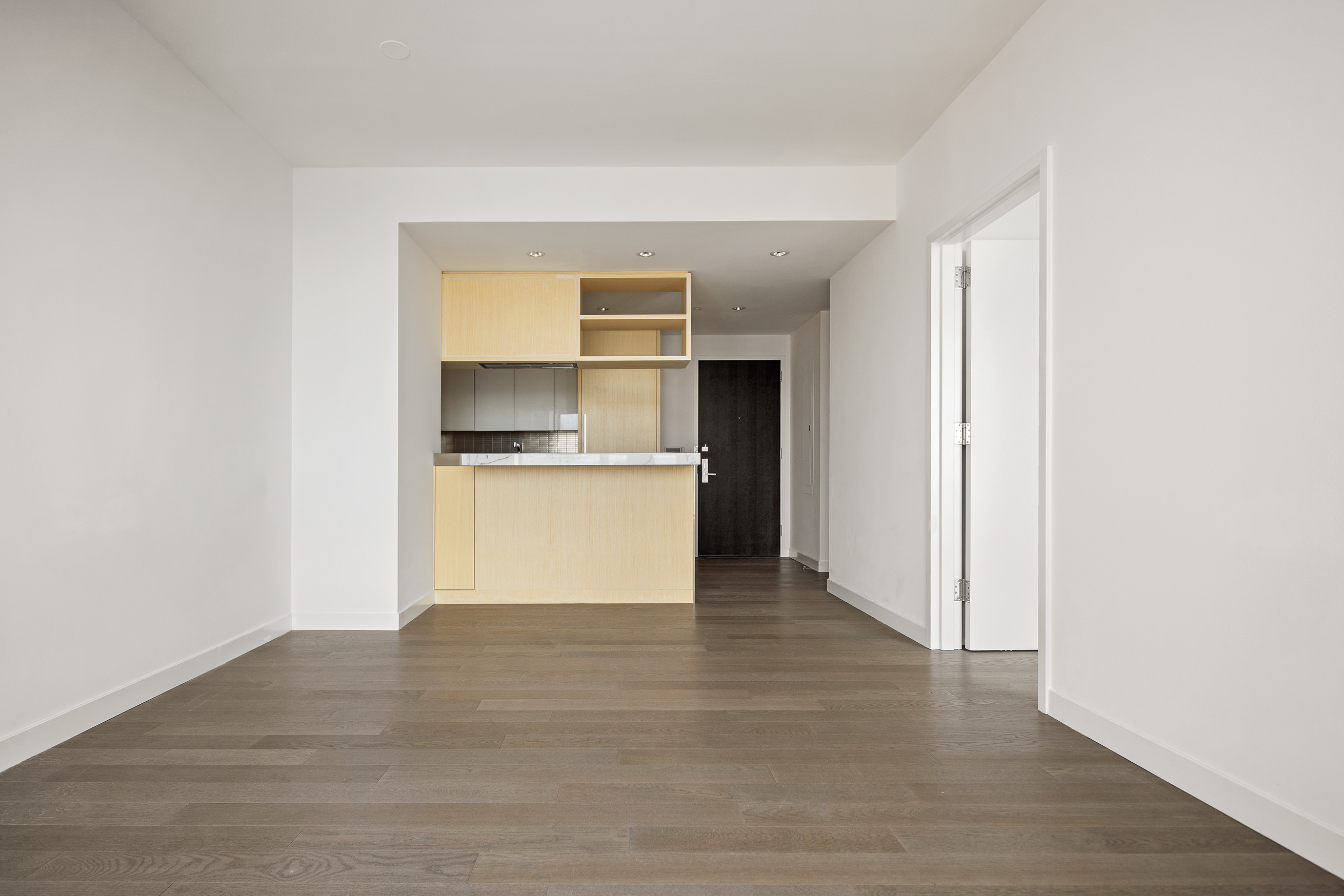 252 South Street, Unit 28C Manhattan, NY 10002 - Photo 4 of 10 a view of kitchen with a sink