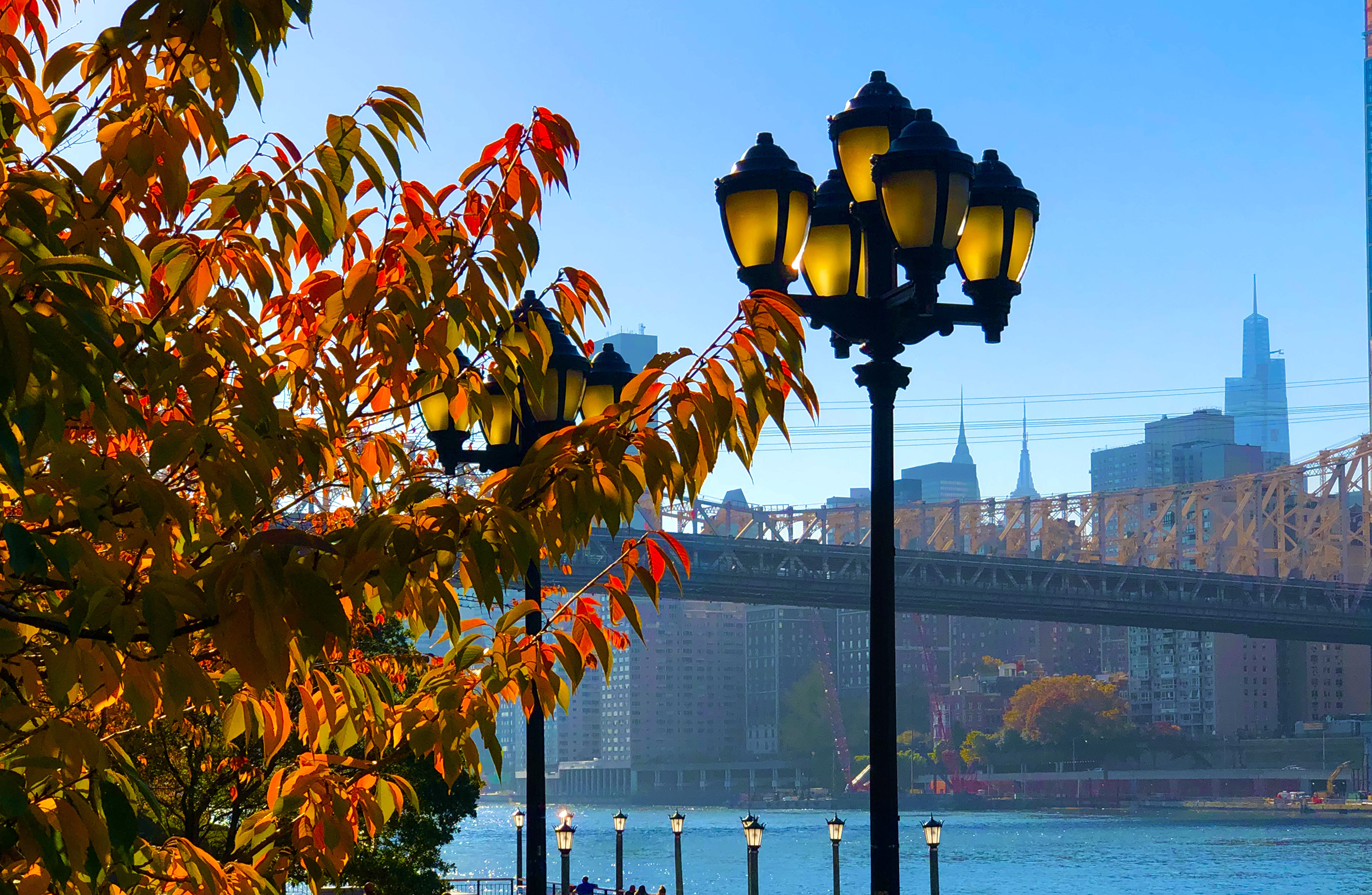 555 Main Street, Unit 1315 Manhattan, NY 10044 - Photo 13 of 14