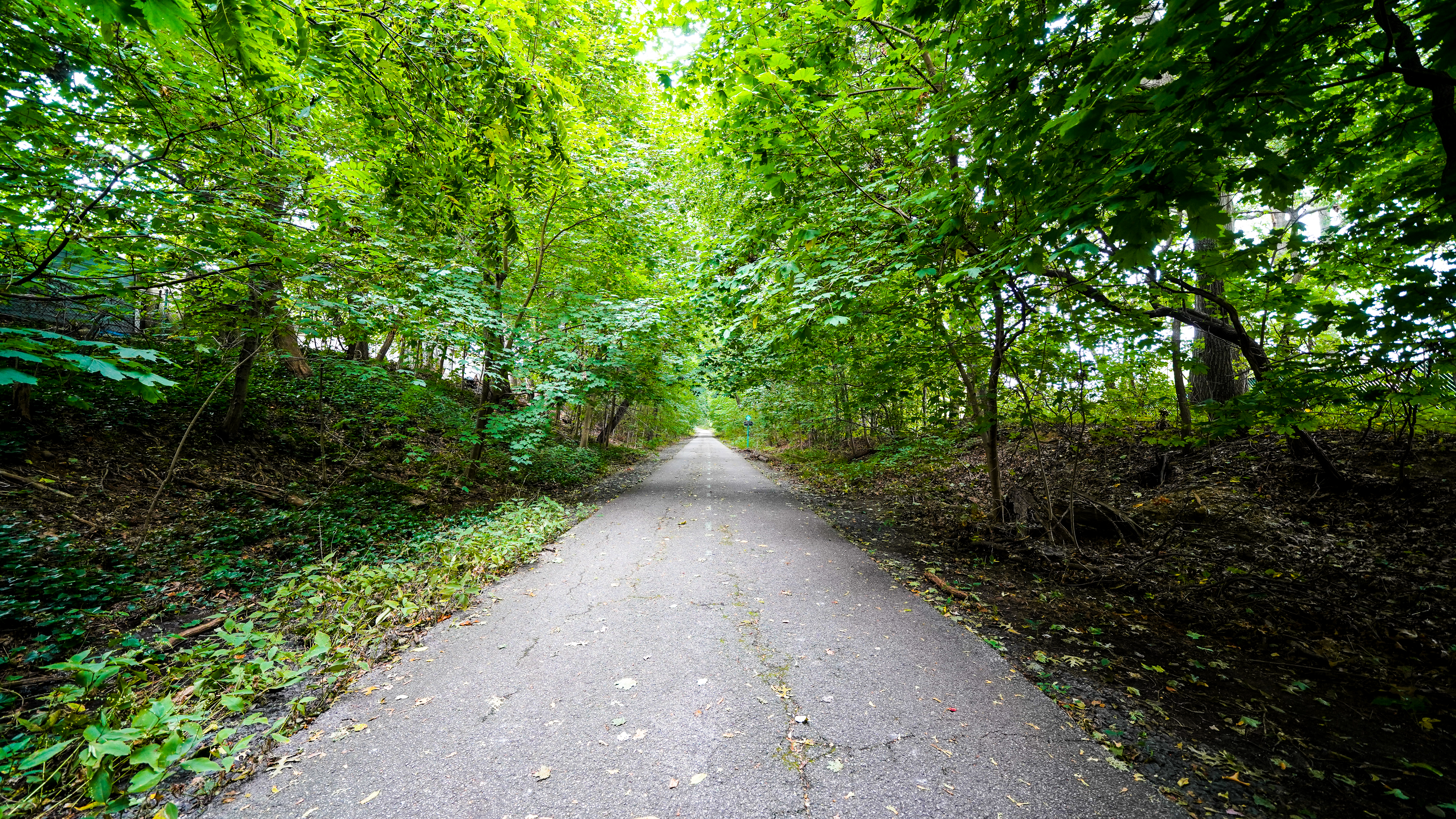 75-36 Bell Boulevard, Unit 2H Queens, NY 11364 - Photo 22 of 24