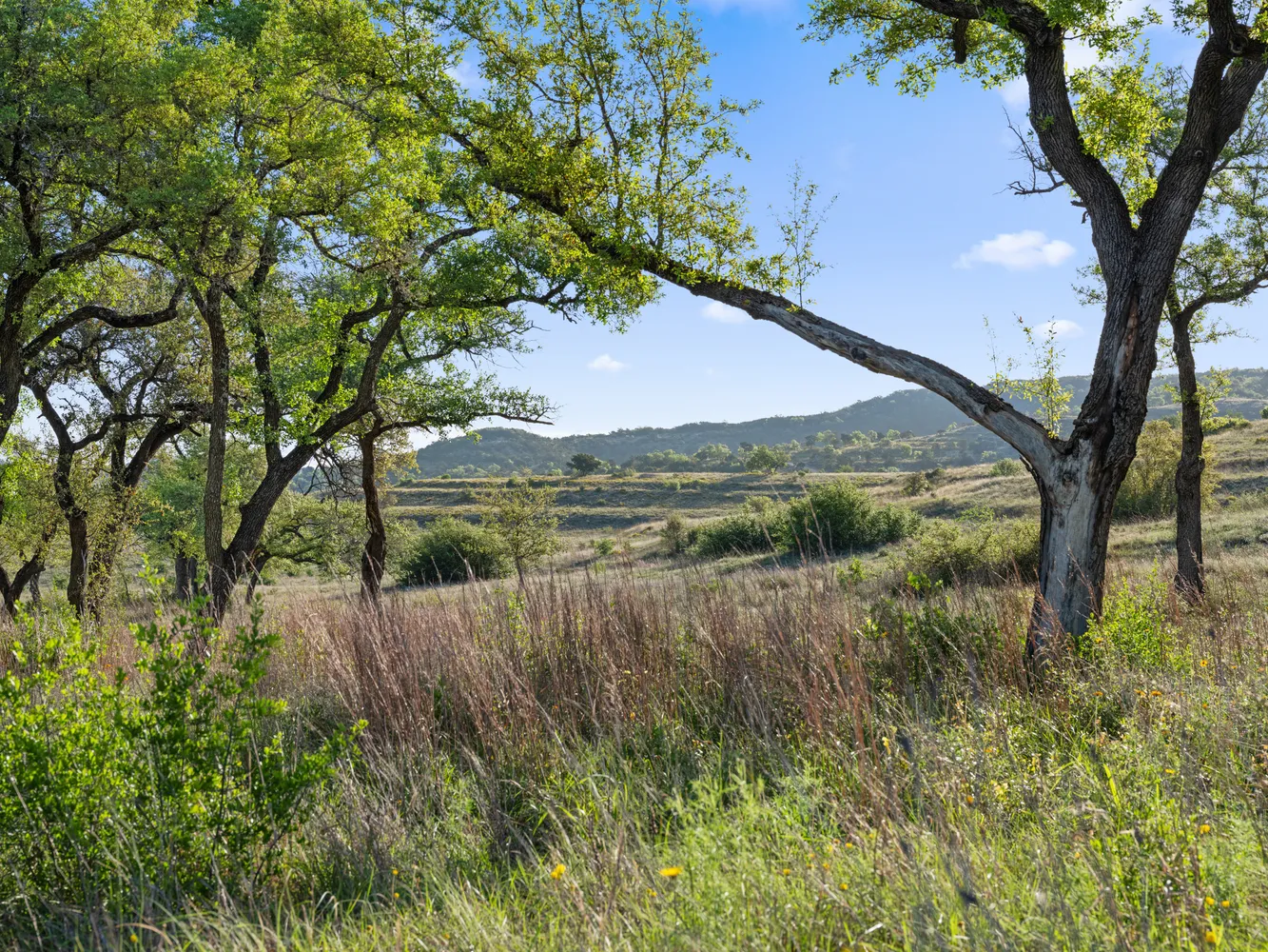 $3,150,000 | 6509 Damianita Drive, Austin, TX 78738