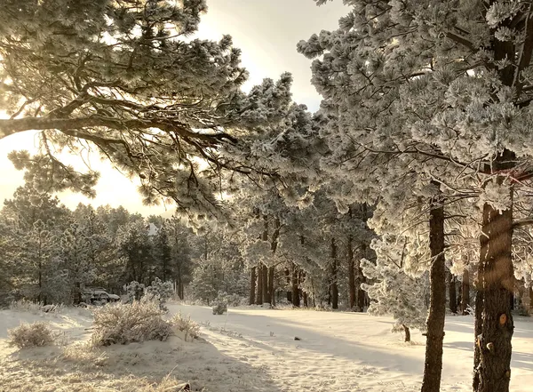 $1,875,000 | 1164 Peakview Circle, Boulder, CO 80302