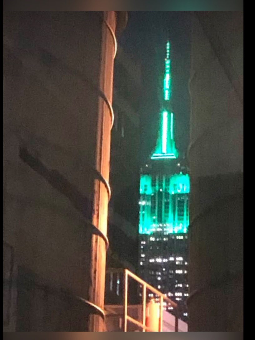 874 Broadway, Unit 907 Manhattan, NY 10003 - Photo 9 of 22