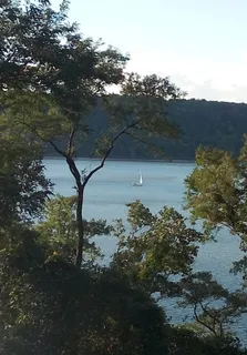 a view of a lake in middle of forest