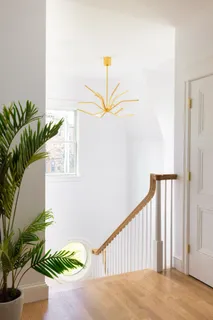 a potted plant sitting on top of a wooden floor