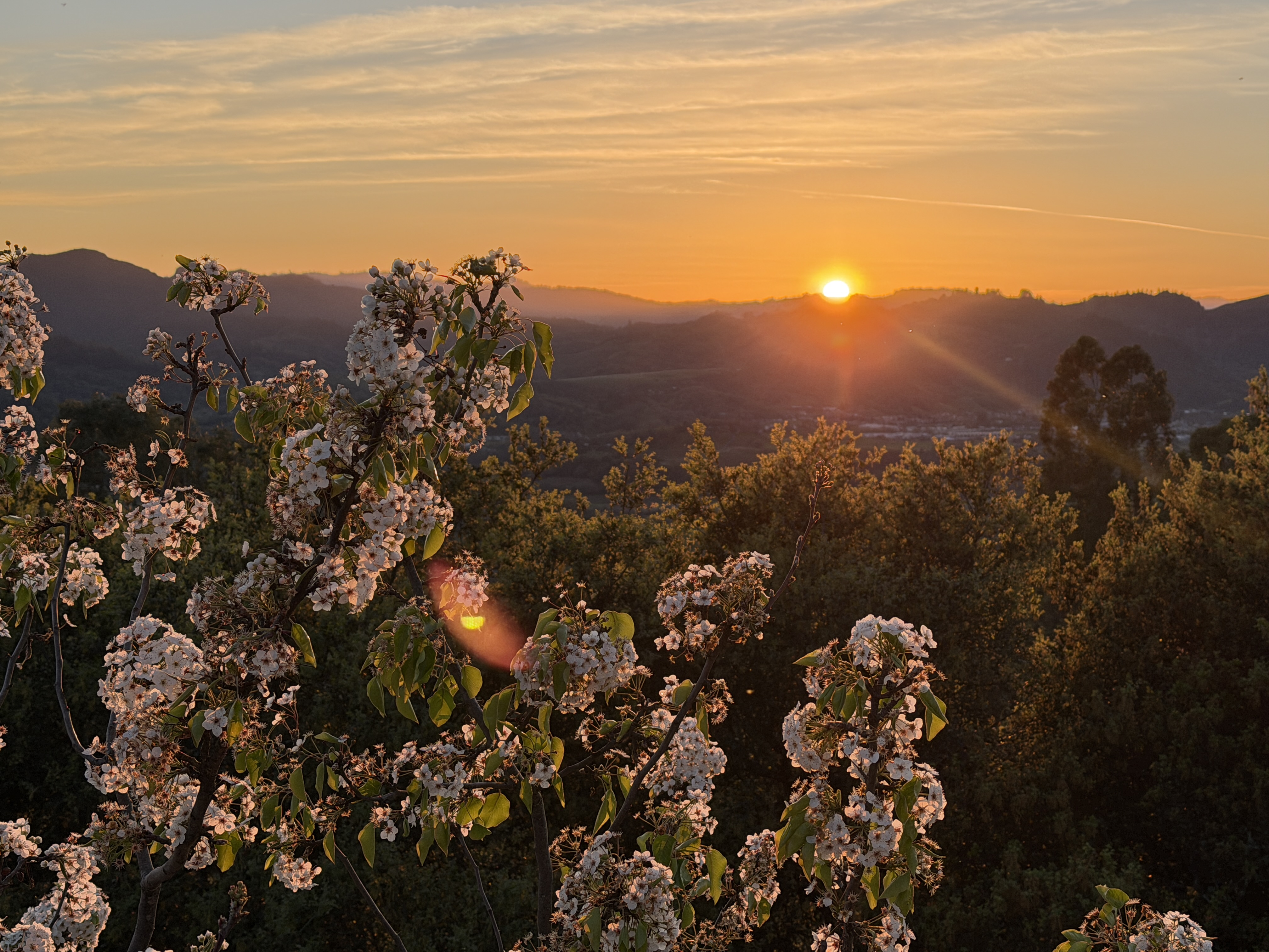 1163 Mountain Pine Road Cloverdale, CA 95425 - Photo 38 of 38