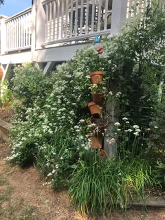 $949,000 | 4117 Worley Drive, Raleigh, NC 27613