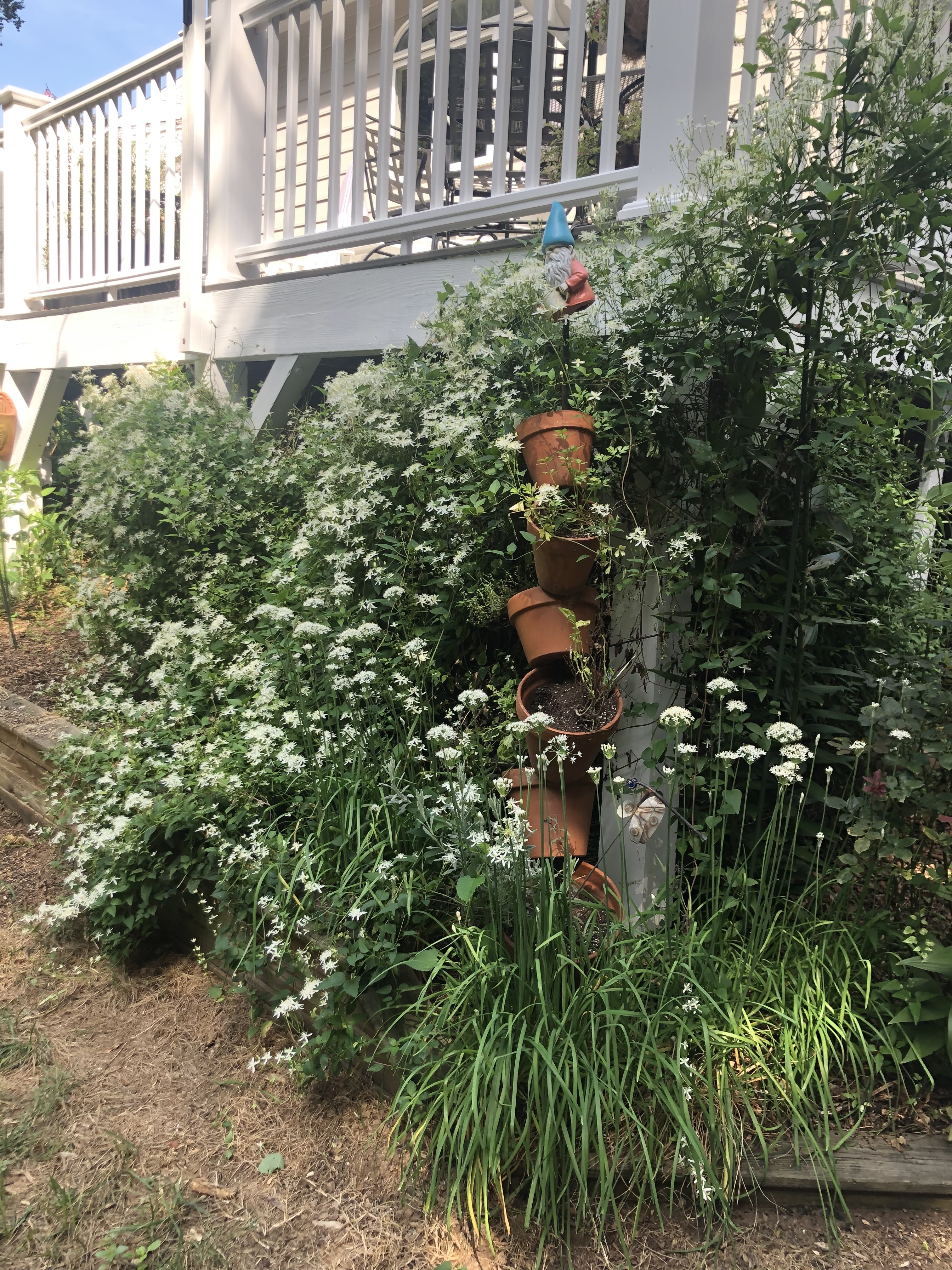 4117 Worley Drive Raleigh, NC 27613 - Photo 4 of 14