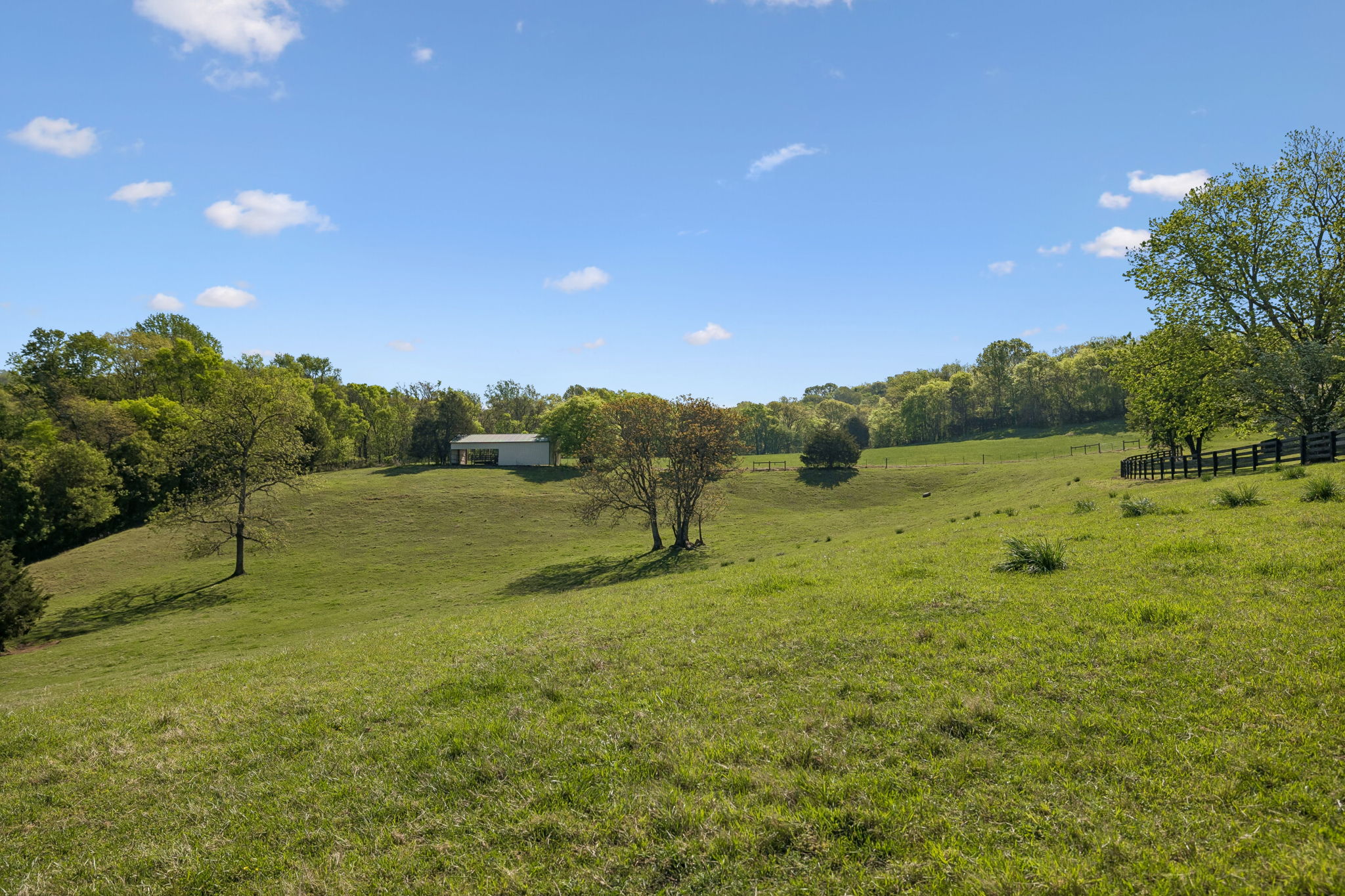 Undisclosed Address College Grove, TN 37046 - Photo 22 of 24 a view of a field with an trees
