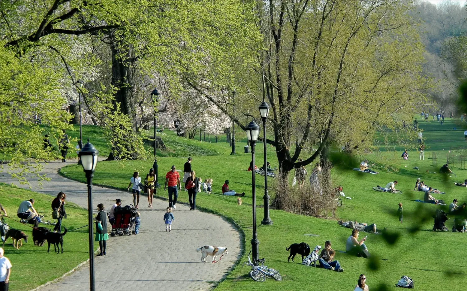 $6,500 | 408 8th Avenue, Unit 1C | Park Slope