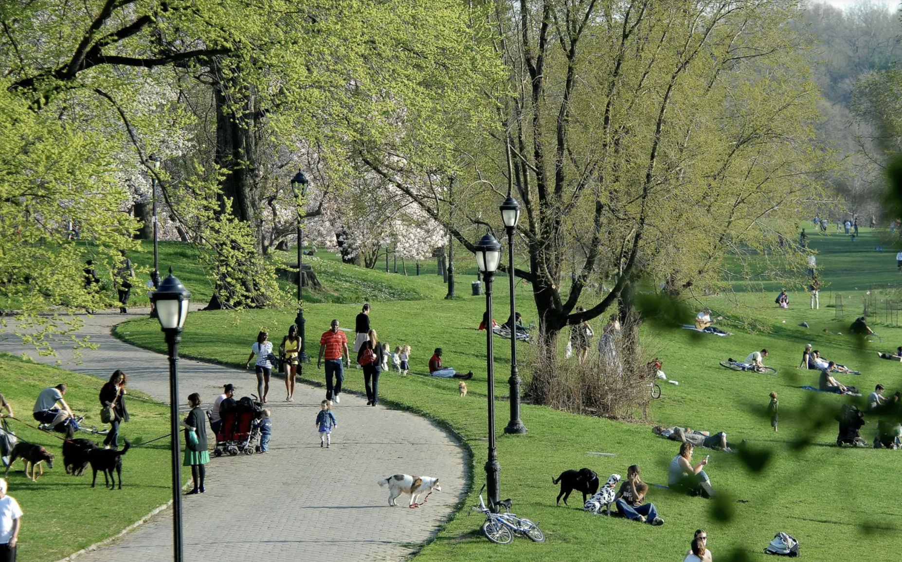 408 8th Avenue, Unit 1C Brooklyn, NY 11215 - Photo 13 of 13 a view of a park
