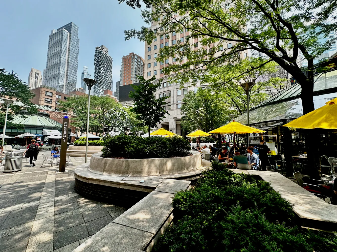 a view of a patio with chairs and a large tree
