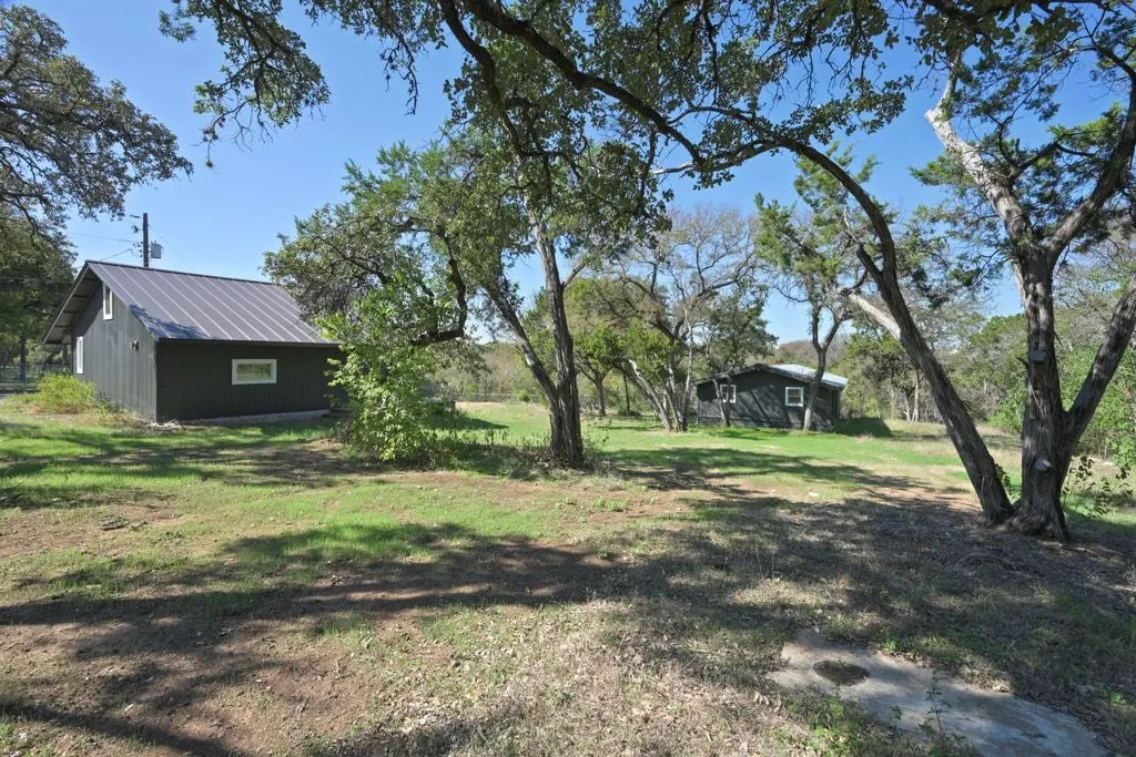 a view of a yard with plants and trees