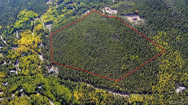 $395,000 | 0 Sawmill Lane, Idaho Springs, CO 80452