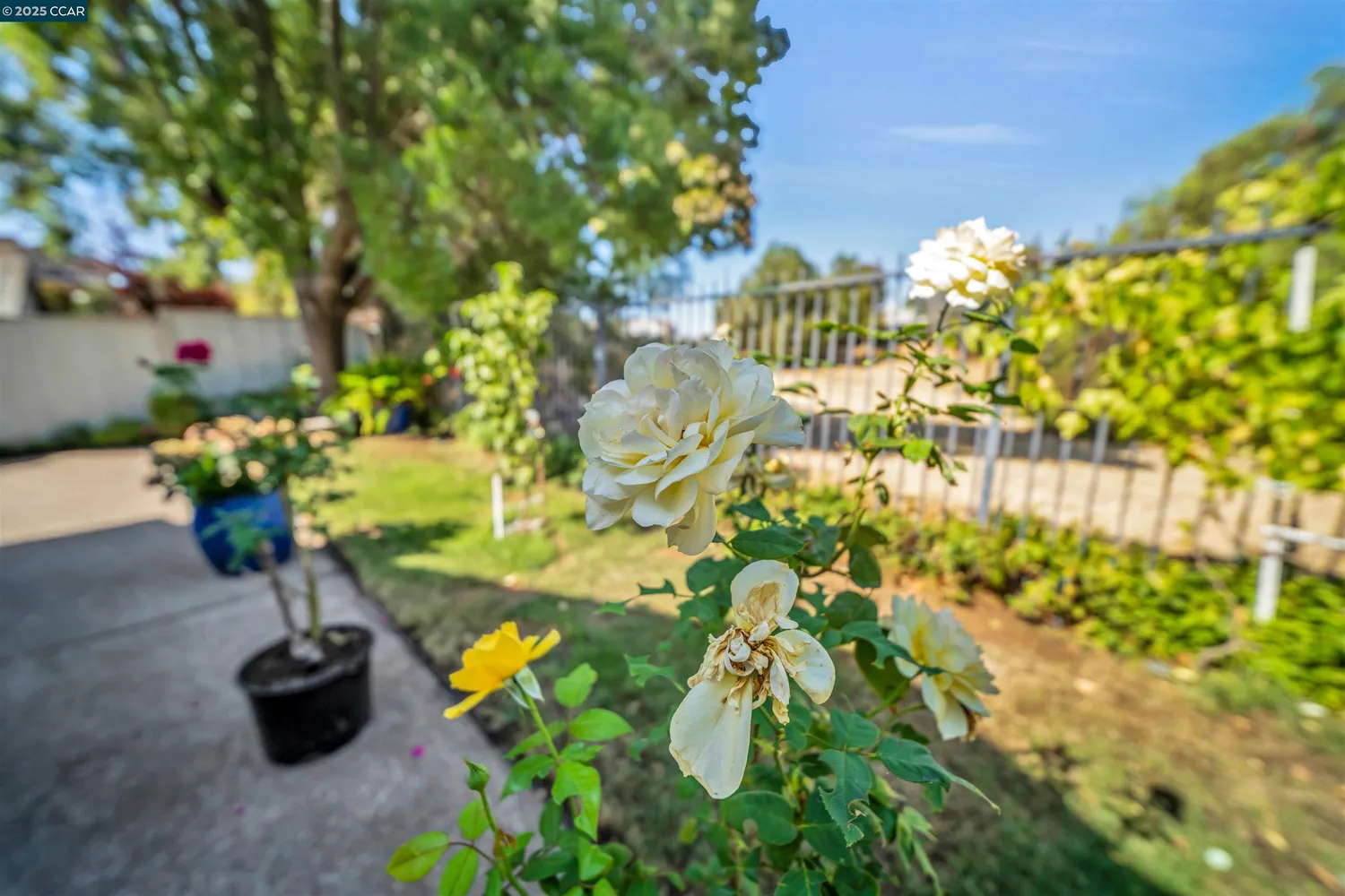 $698,500 | 441 Apple Hill Drive, Brentwood, CA 94513