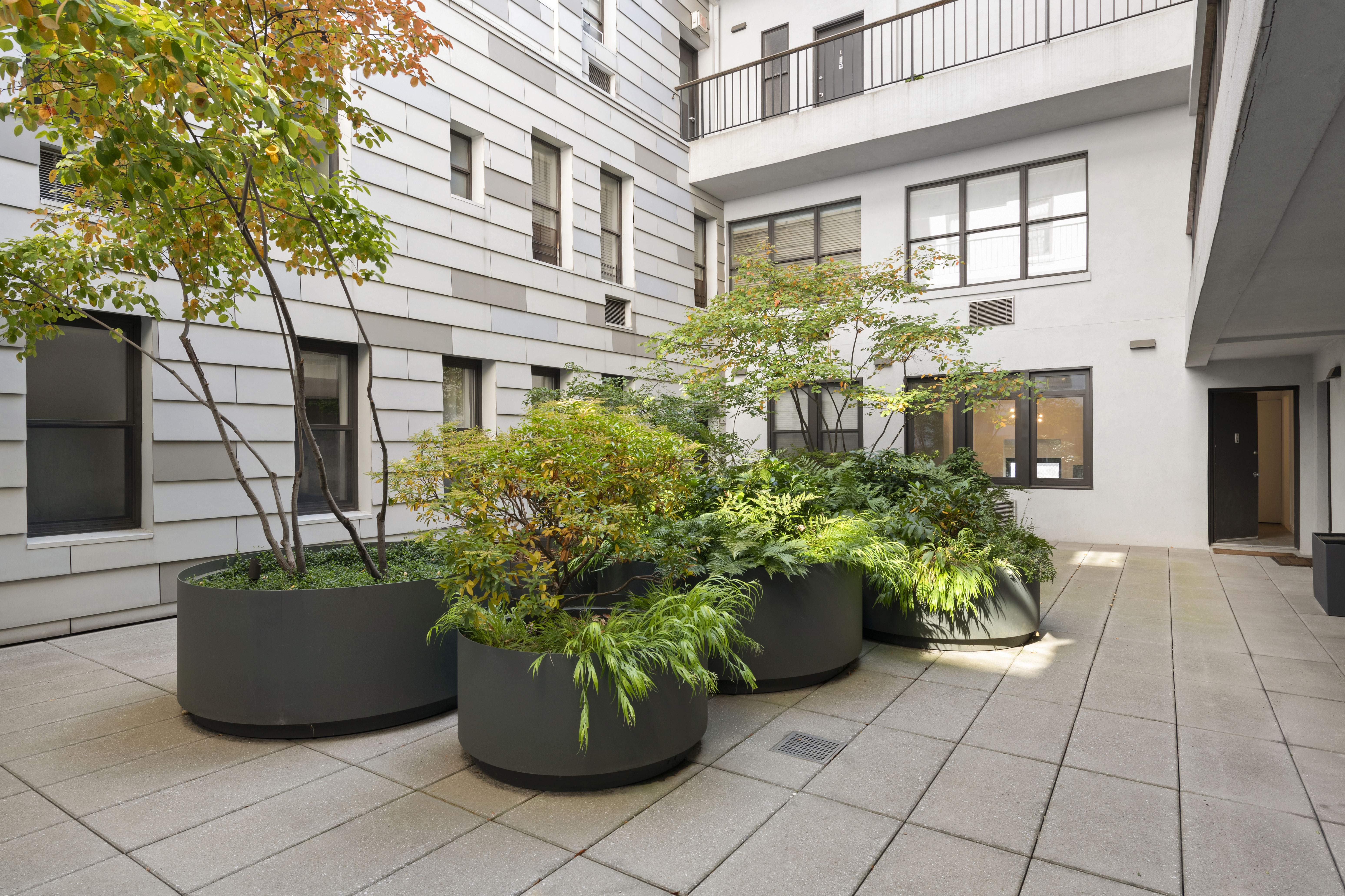 3 Hanover Square, Unit 21C Manhattan, NY 10004 - Photo 14 of 19 a view of a potted plants in front of a building