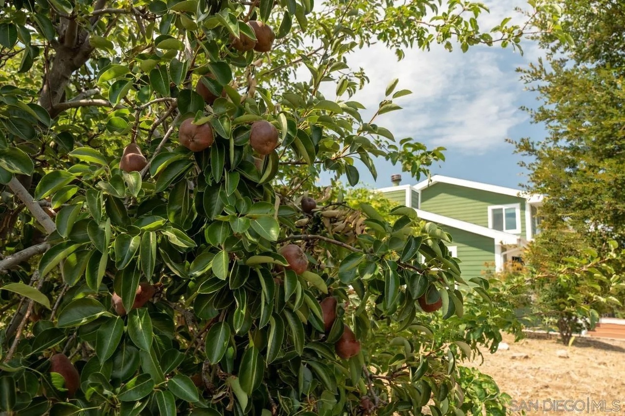 16690 Iron Springs Road Julian, CA 92036 - Photo 14 of 69