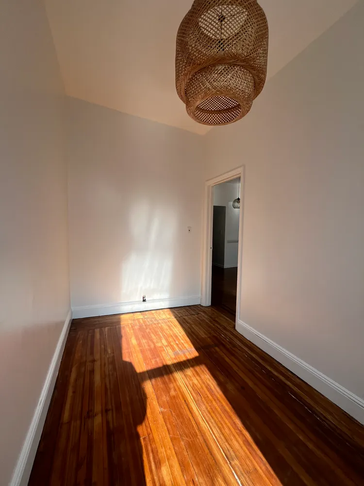 a view of a room with wooden floor and a potted plant