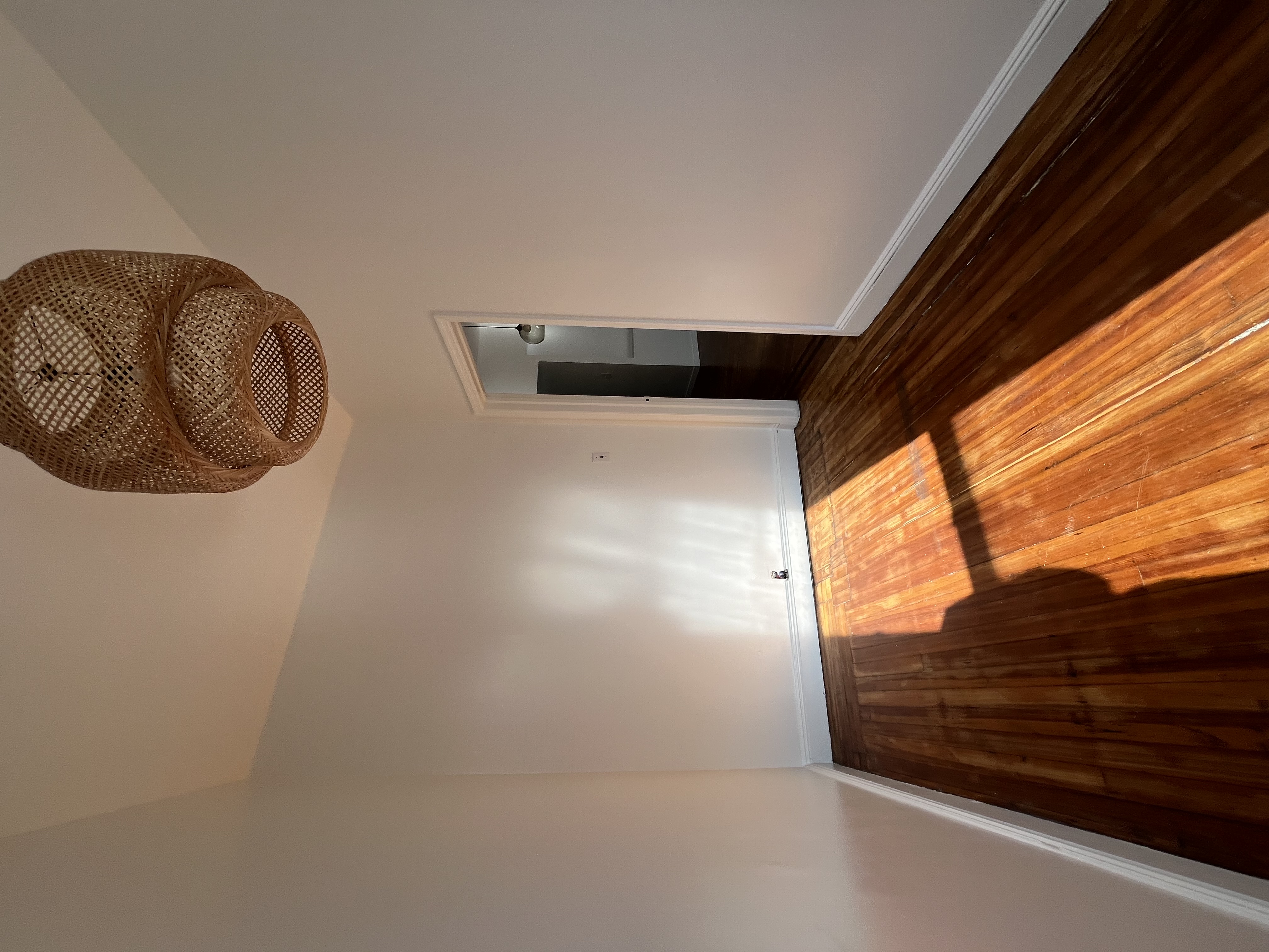 737 Fulton Street, Unit 1 Brooklyn, NY 11217 - Photo 6 of 11