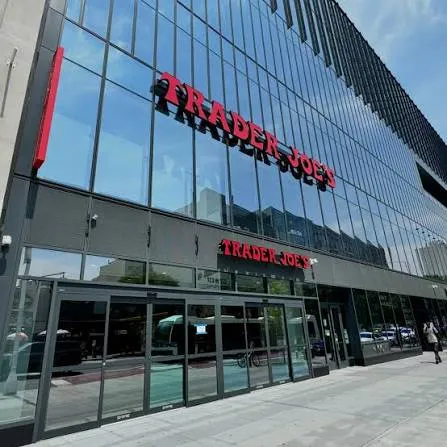 a close up of a plant