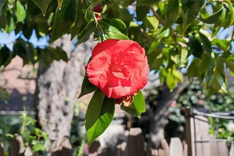 $1,060,000 | Pala Avenue, San Leandro, CA 94577