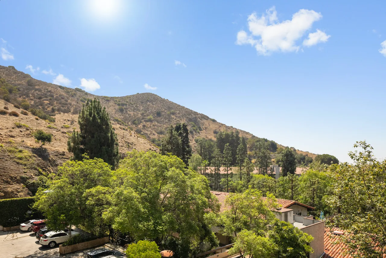 a view of a bunch of trees and houses