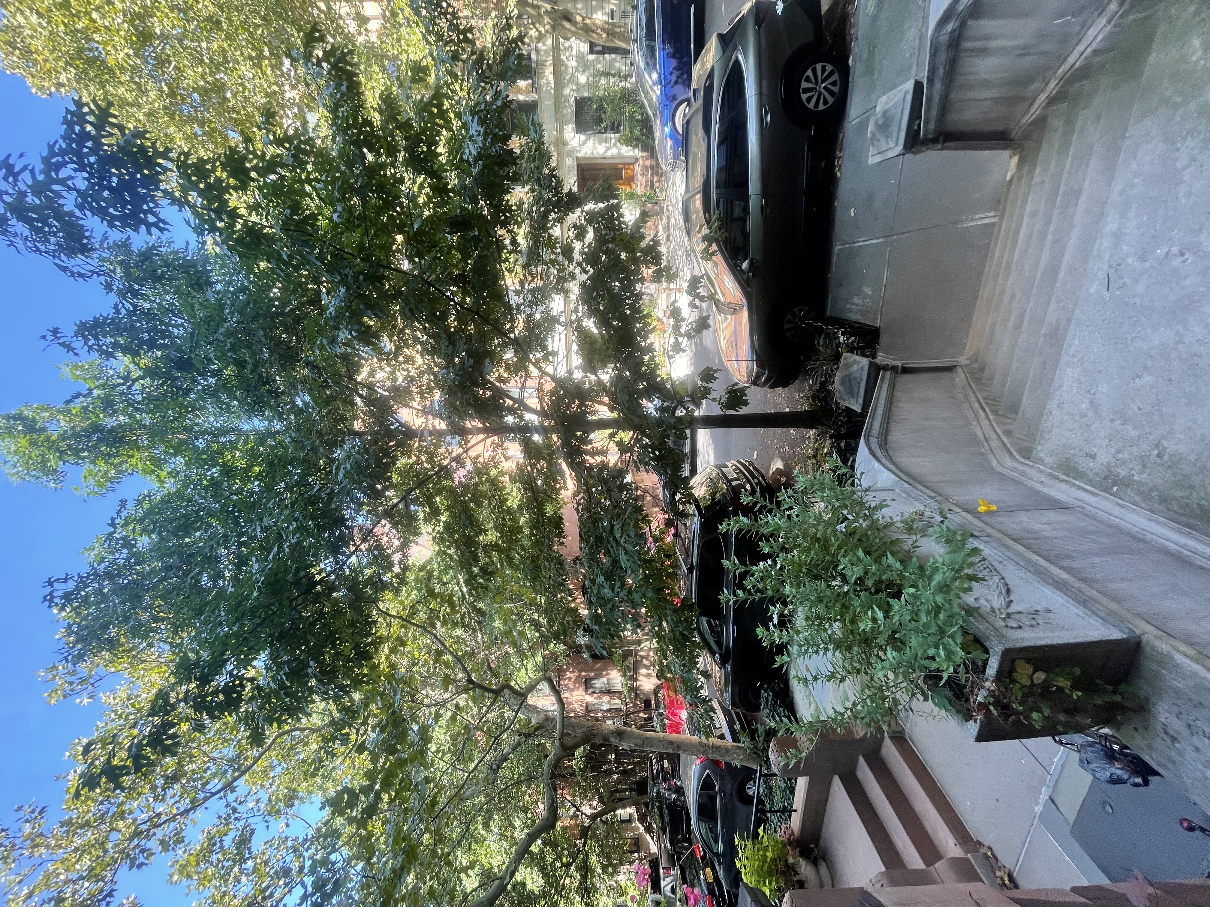 30 Montgomery Place, Unit 2 Brooklyn, NY 11215 - Photo 16 of 17 a view of a yard