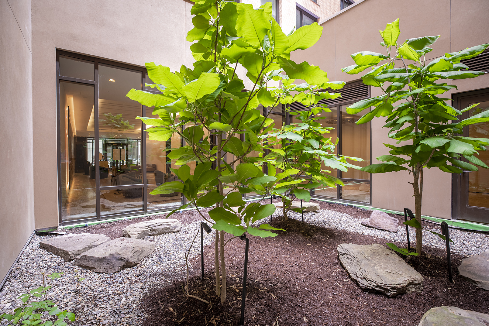 146 Pierrepont Street, Unit 2C Brooklyn, NY 11201 - Photo 29 of 30 a potted plant sitting in front of a house