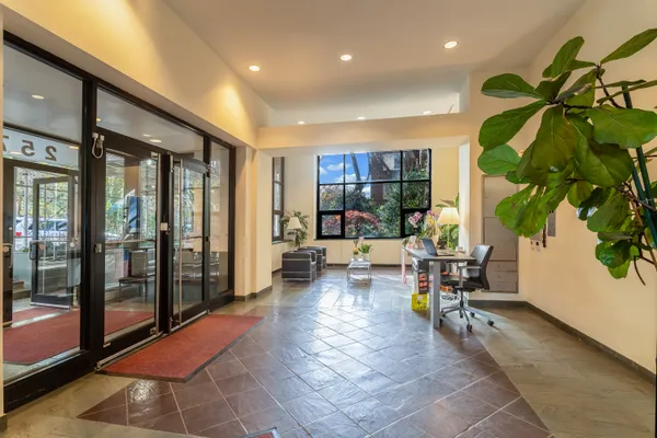a living room filled with furniture and a potted plant
