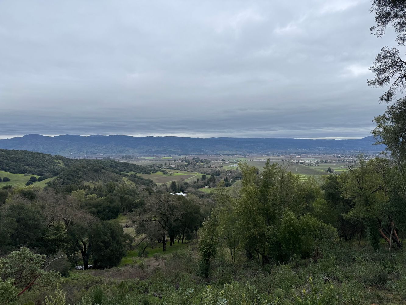 an aerial view of a city and mountain view in back