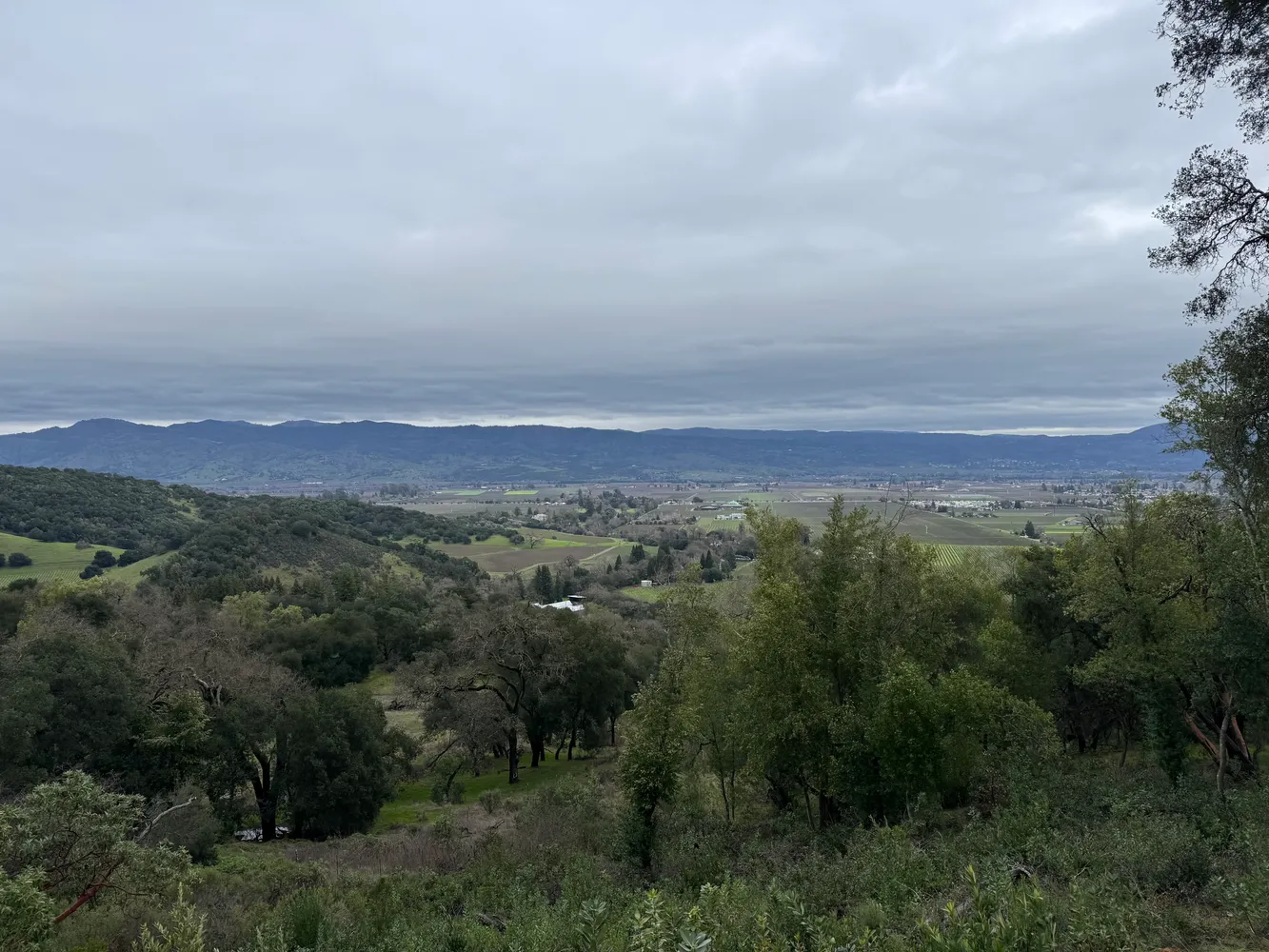 an aerial view of a city and mountain view in back