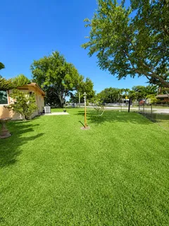a view of field with trees