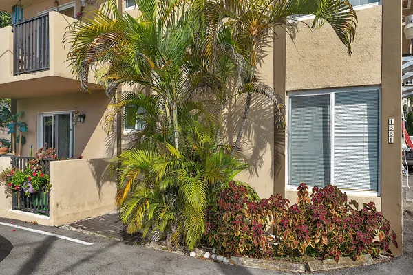 a view of a house with a tree and flower plants